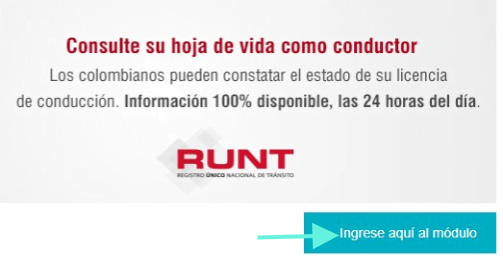 Todo lo que Necesitas Saber Sobre la Runt Licencia