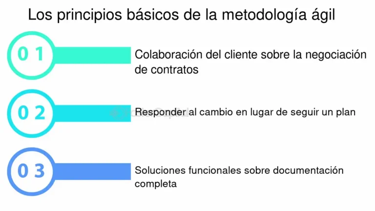 Cuáles son las categorías y subcategorías del Código CIIU