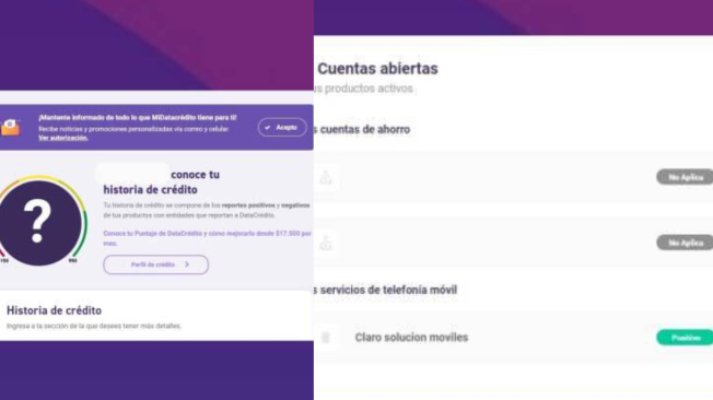 Datacrédito Gratis: ¿Cómo Consultar tu Historial Crediticio Sin Costos?