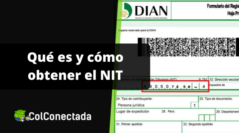 Importancia del NIT para Personas Físicas y Jurídicas en Colombia